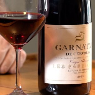 Garnatxa de Cérvoles-Roberto Lazaro-01