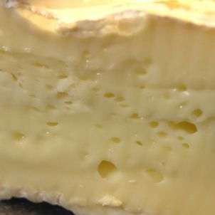 Camembert-Roberto Camembert-Roberto