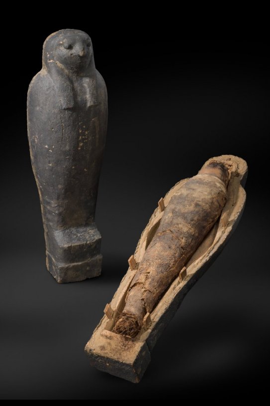 Sarcófago y momia de halcón. Periodo Ptolemaico (302 30 aC). Museo Egipcio
