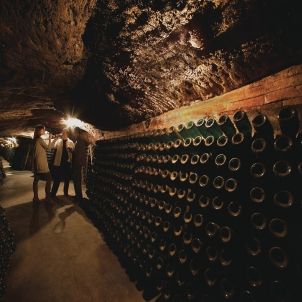 Cata de vins a la cava Sant Josep de les Caves Codorniu 24555 Lluís Carro Cata de vins a la cava Sant Josep de les Caves Codorniu 24555 Lluís Carro