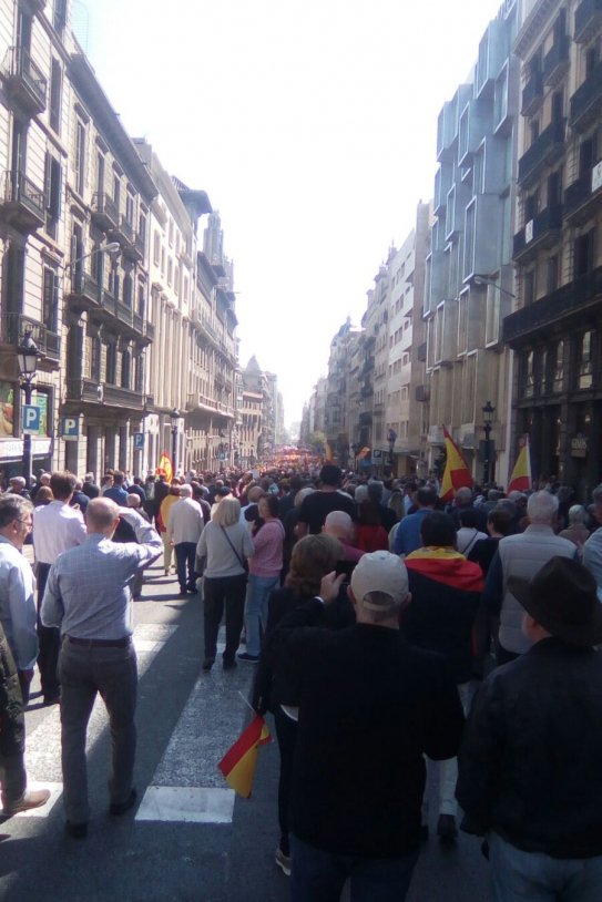 manifestació societat catalana