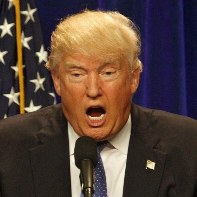 Donald Trump EFE Donald Trump EFE