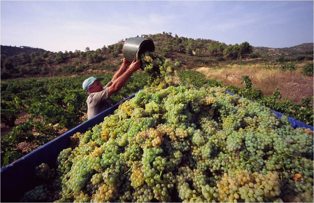 21743624 1890269001238957 6485768412094696945 o 21743624 1890269001238957 6485768412094696945 o