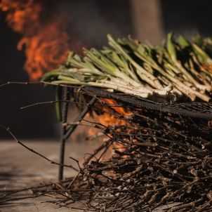CALGANXO CALCOTS1 CALGANXO CALCOTS1