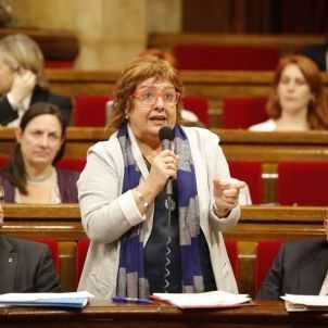 dolors bassa parlament sergi alcazar dolors bassa parlament sergi alcazar