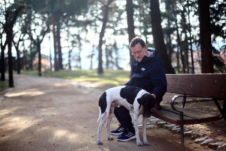 Mariano Rajoy amb el seu gos als jardins de la Moncloa, avui / EFE