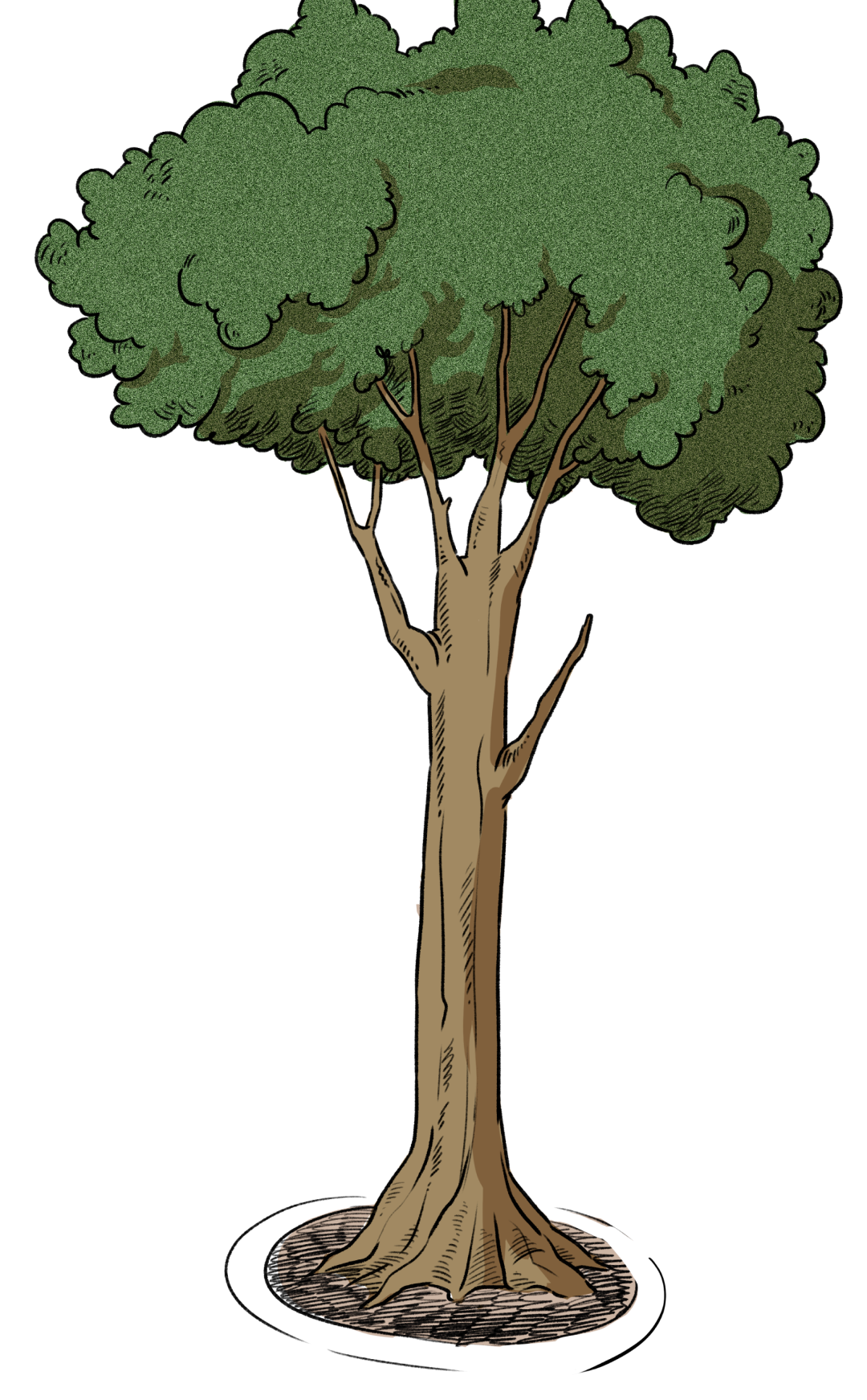 Arbre