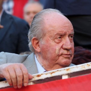 Can former king Juan Carlos I be judged? Can former king Juan Carlos I be judged?