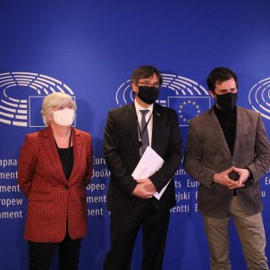 MEPs Ponsatí, Puigdemont and Comín: "We'll fight for our parliamentary immunity" MEPs Ponsatí, Puigdemont and Comín: "We'll fight for our parliamentary immunity"