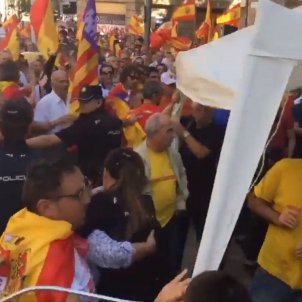 Violent incidents at pro-Spain march in Mallorca