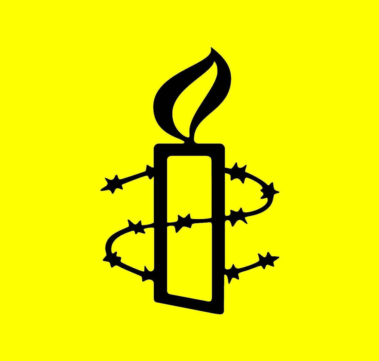 Deluge of criticism of Amnesty International for weak response to imprisonments