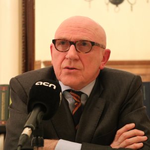 Puigdemont's lawyer says he should stay in Belgium "until Spain becomes reasonable" Puigdemont's lawyer says he should stay in Belgium "until Spain becomes reasonable"