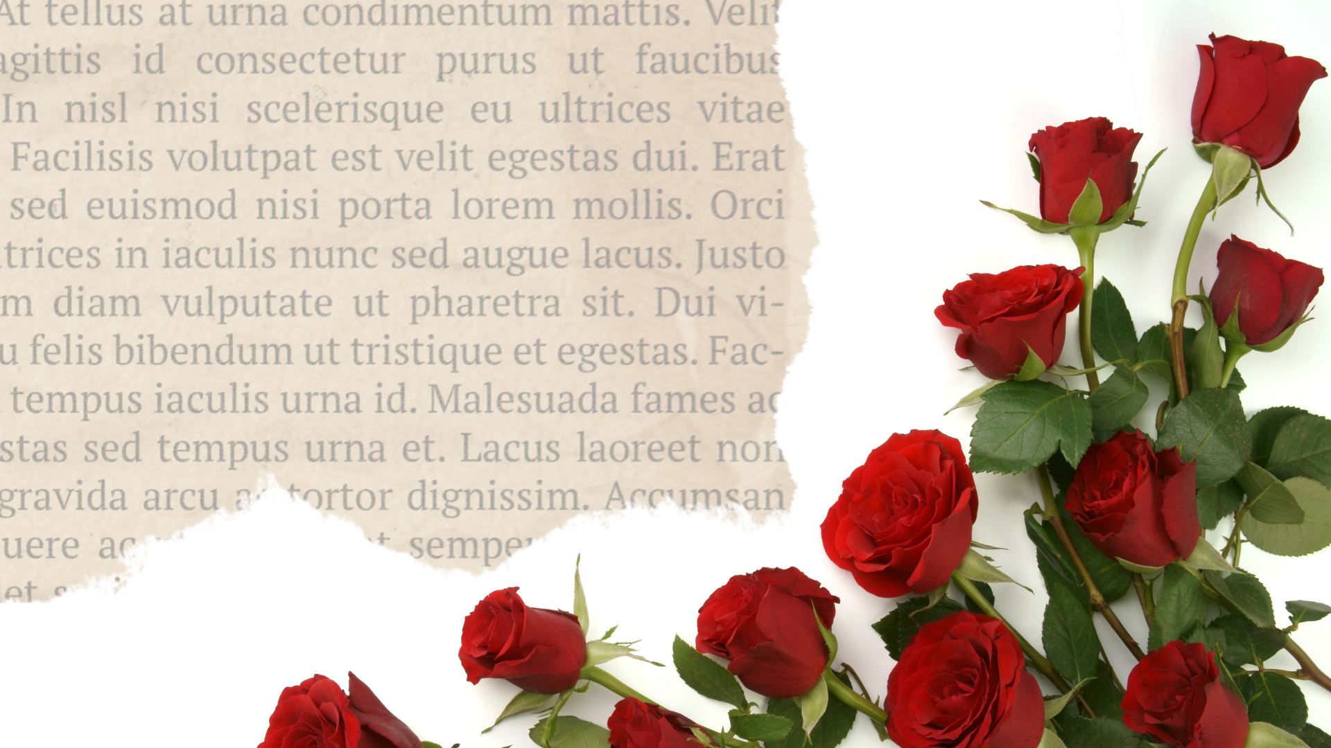 Sant Jordi 2023 in Barcelona: everything you need to know about Catalonia's most romantic day