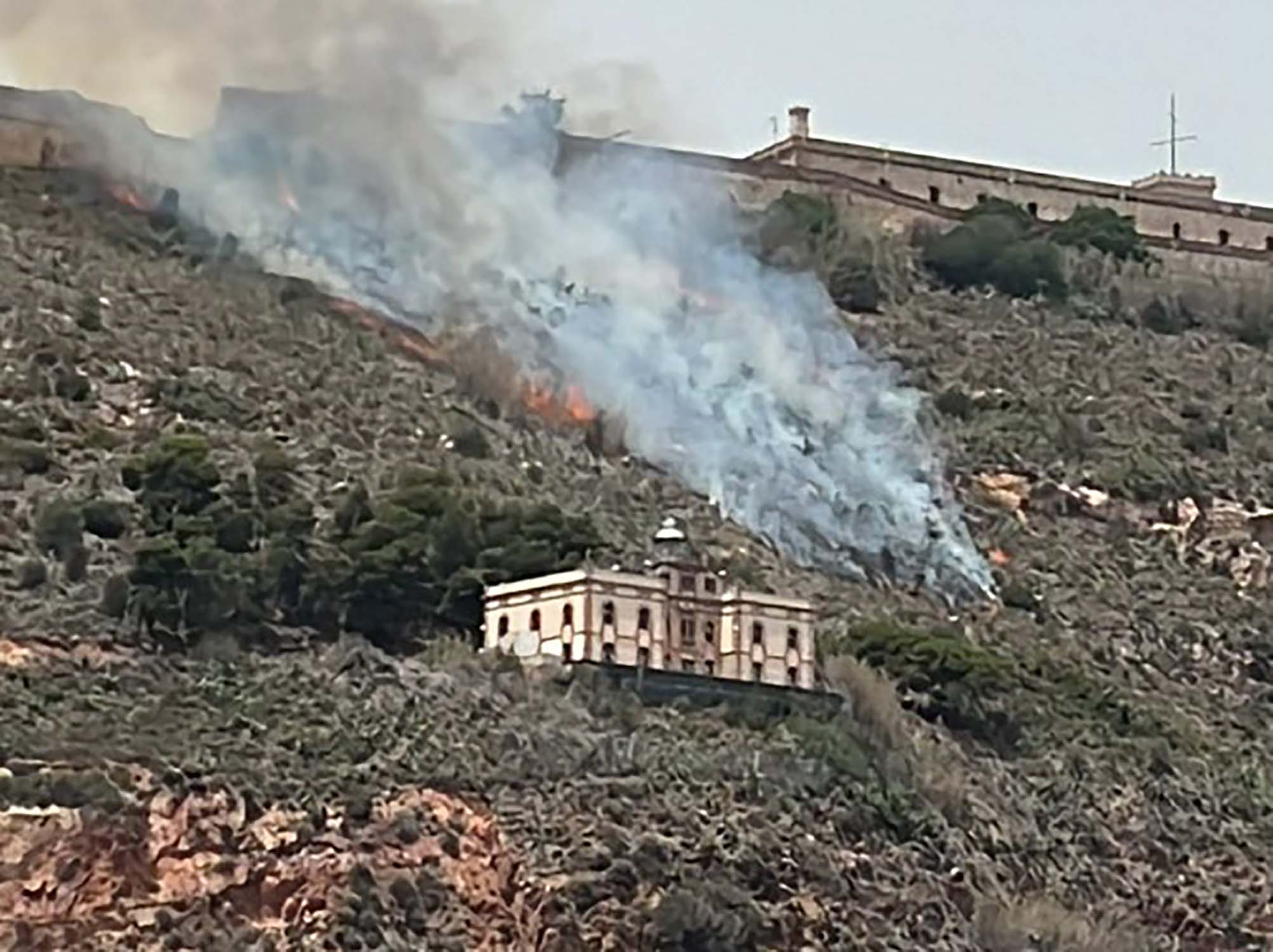 Barcelona police arrest homeless man after wildfire burns on Montjuïc mountain | VIDEOS