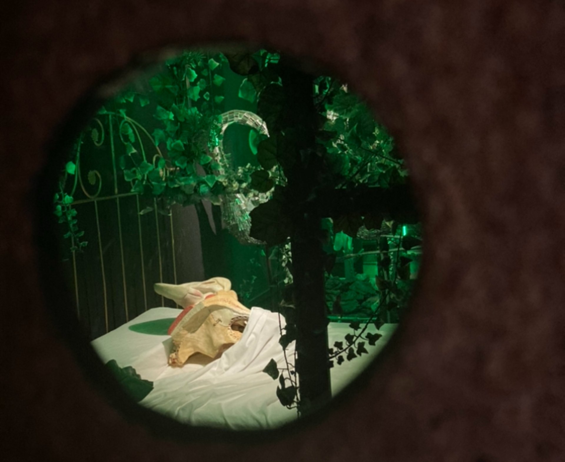 Figueres and the Teatre-Museu Dalí: everything you need to know for a Salvador Dalí day trip