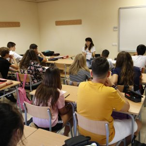 Council of Europe criticises Spain's policy towards Catalan Council of Europe criticises Spain's policy towards Catalan