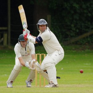 cricket pixabay shents cricket pixabay shents