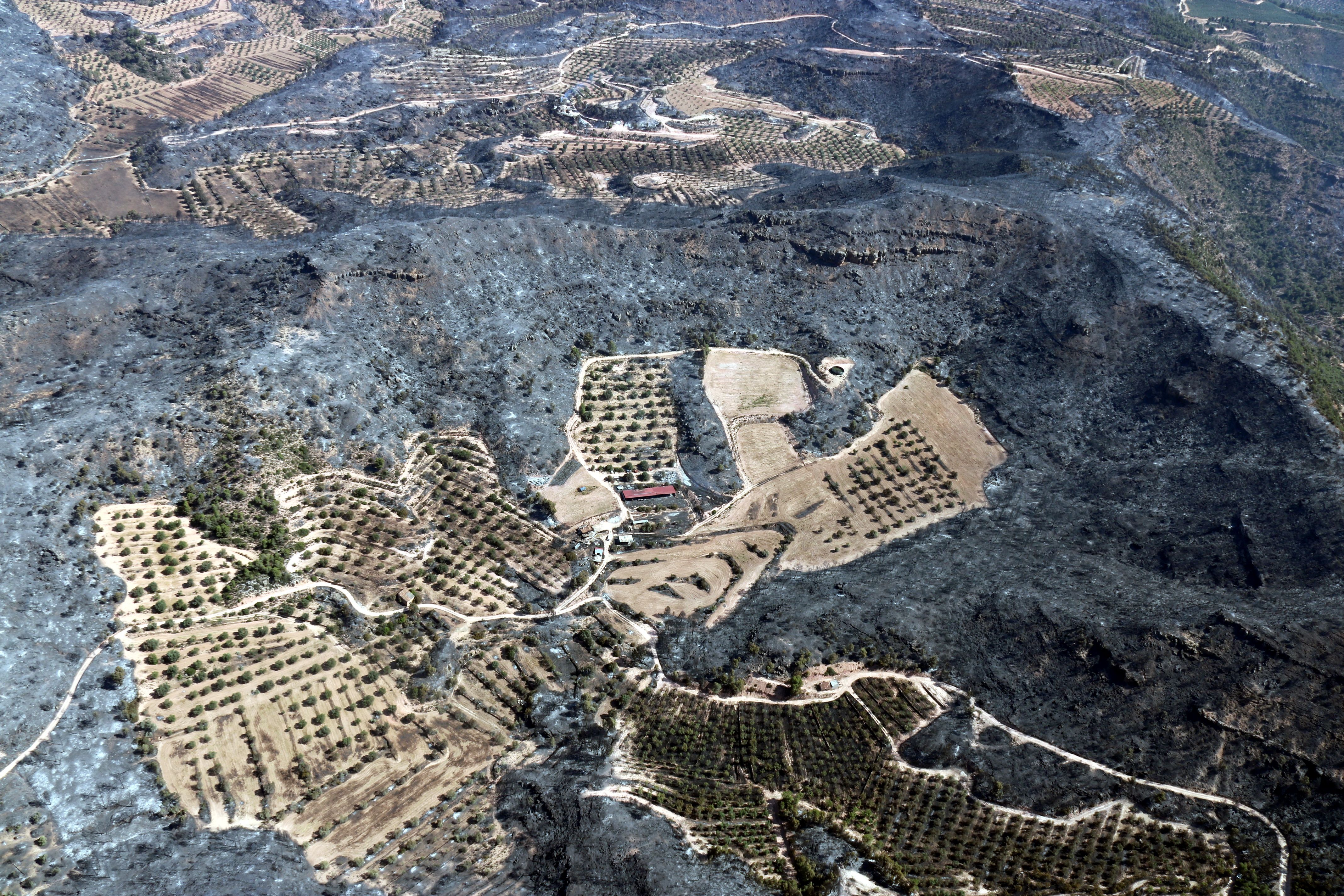 The most spectacular images of the Catalan wildfire