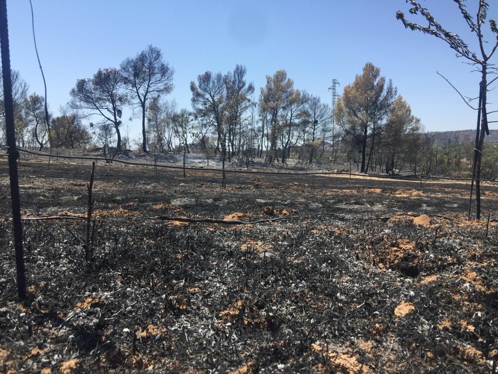 Catalonia wildfire under control after raging across Ribera d'Ebre for four days