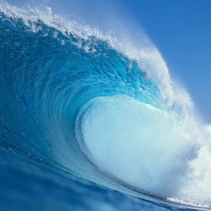 INTERVIEW | Democratic Tsunami: "Spain, sit down and talk" INTERVIEW | Democratic Tsunami: "Spain, sit down and talk"