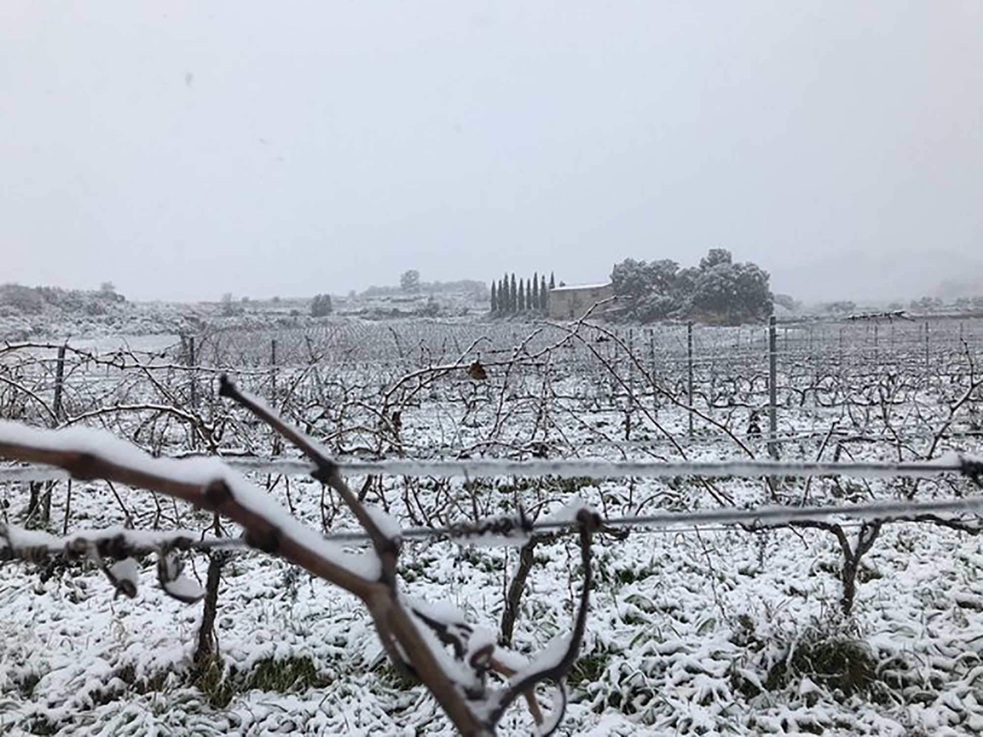 Spectacular images: Storm Glòria brings snow and high waves to Catalonia