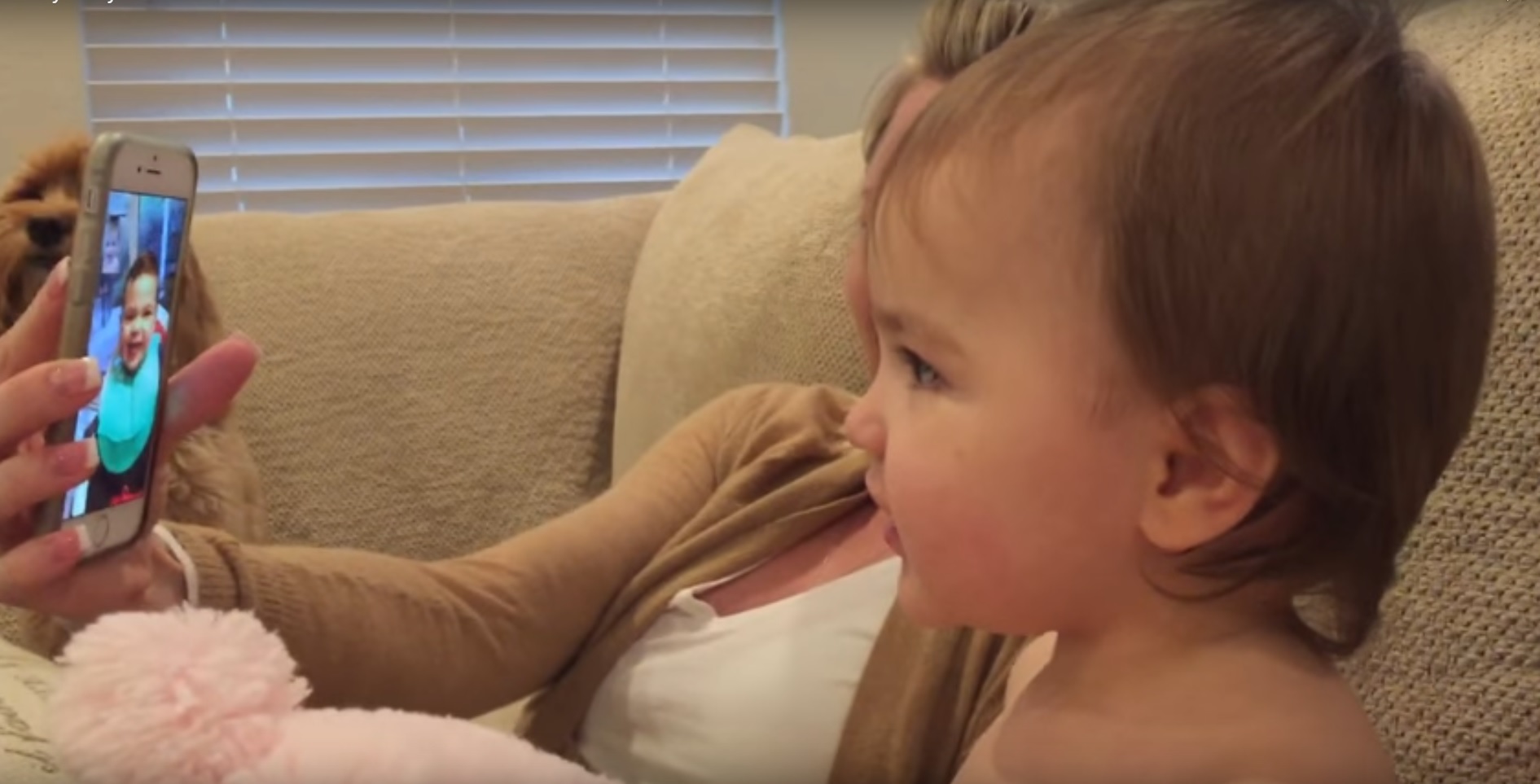 La increíble conversación entre dos bebés por videollamada