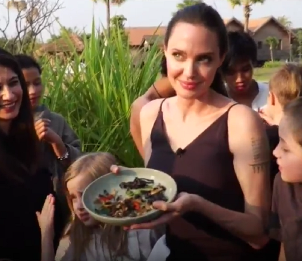 Comerse arañas, la terapia post-ruptura de Angelina Jolie