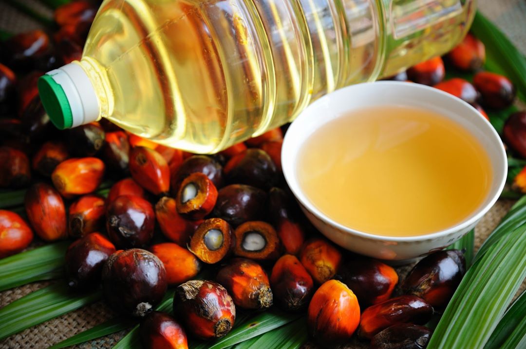 El aceite de palma: Qué sabes y qué no