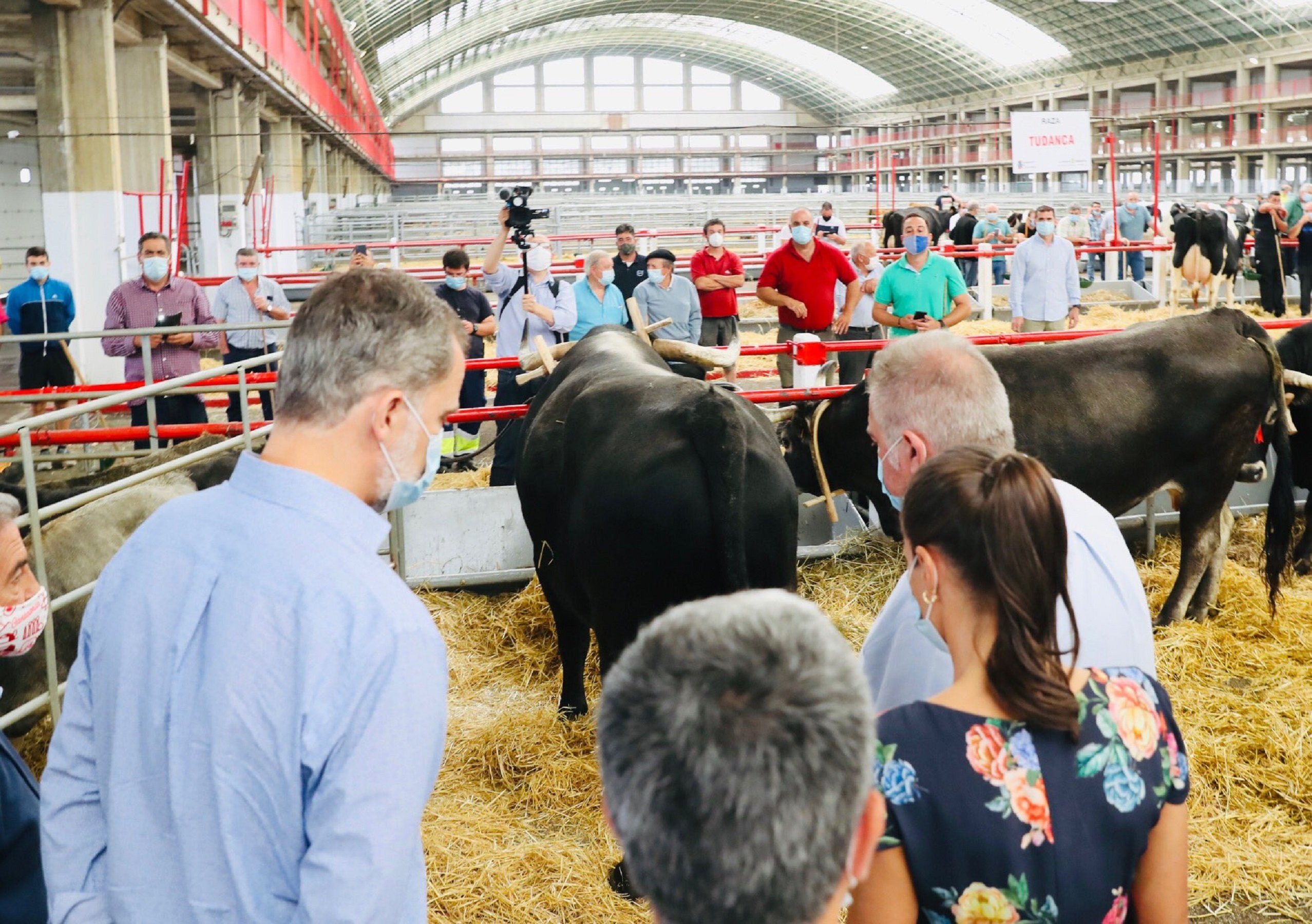 Letizia y su aversión a los animales: gesto de preocupación rodeada de vacas