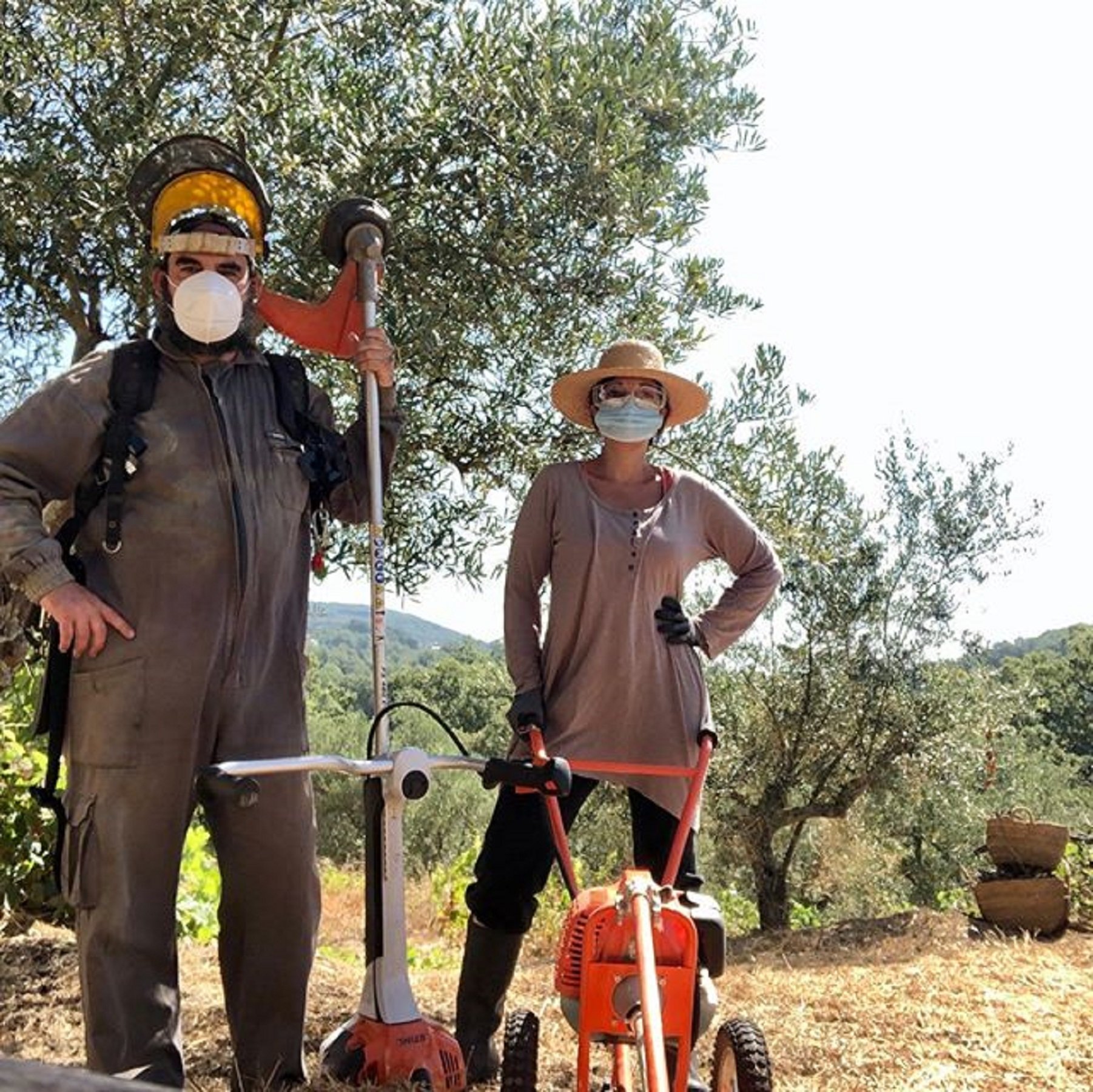 La cara desconocida de 2 actores de TV3: son pareja y elaboran aceite en Extremadura