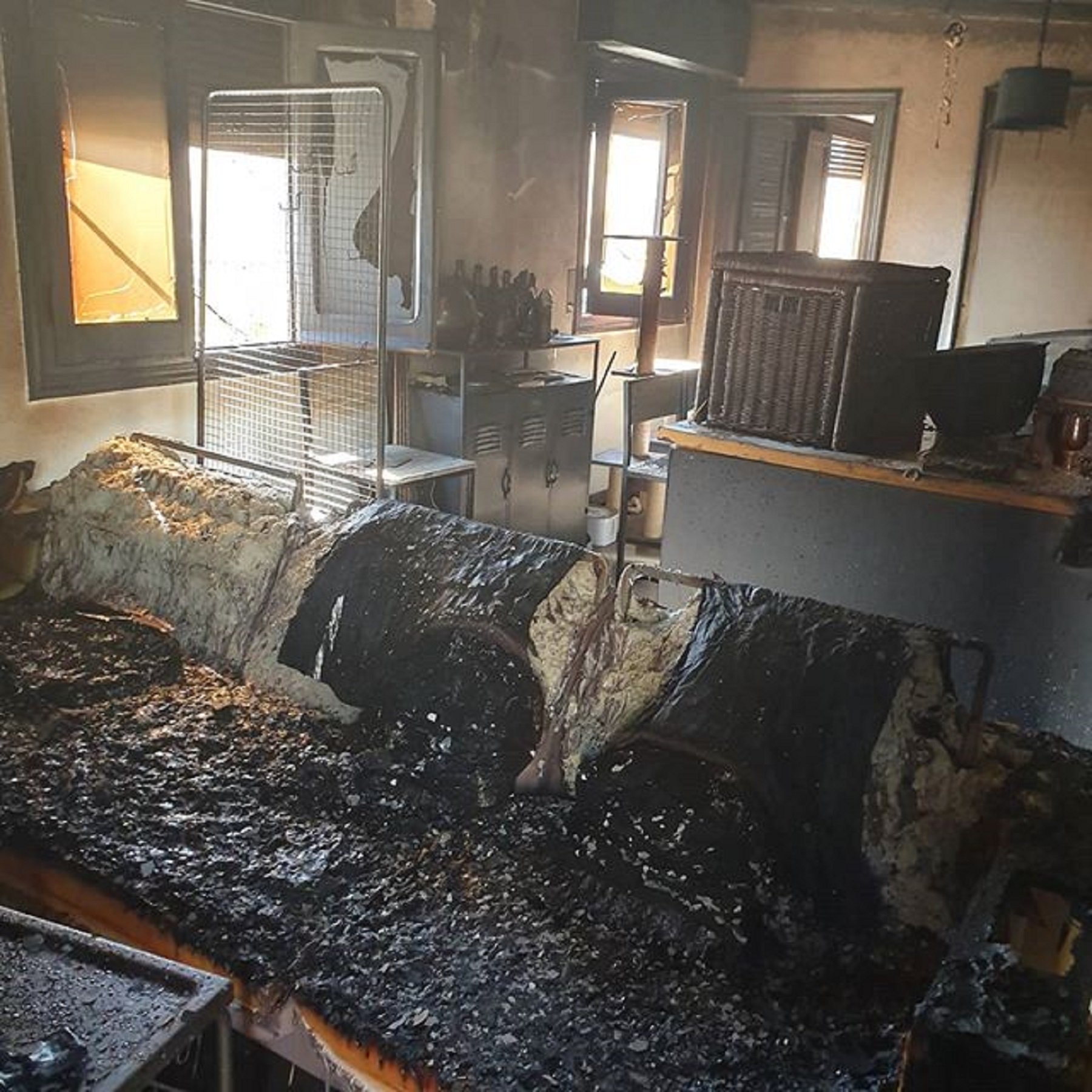 El verano infernal de FortFast: un incendio arrasa su casa y mata a sus gatas