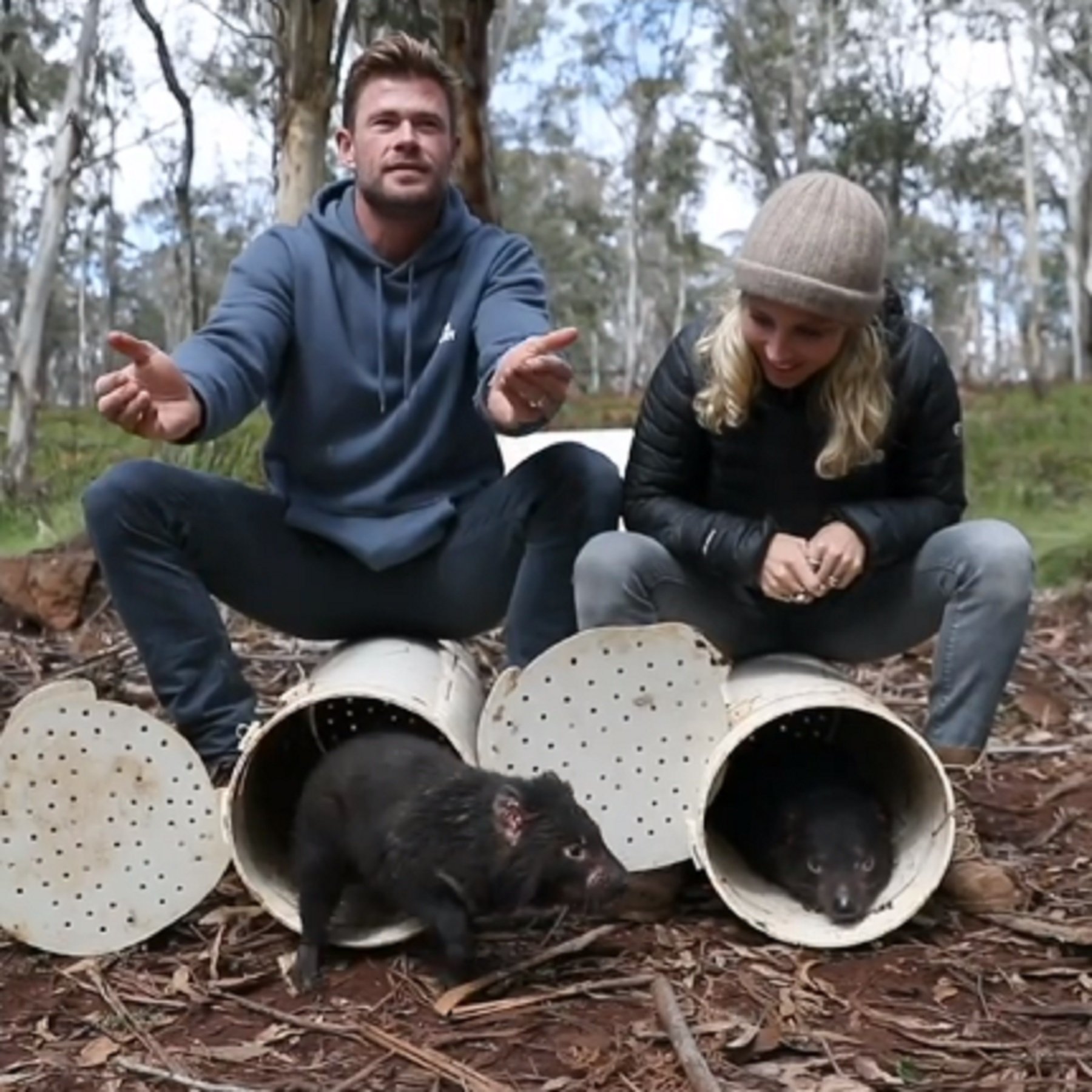 Gesto animalista de Pataky y Hemsworth reintroduciendo especies en Australia