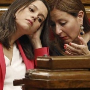 Ensorren una exdiputada de Cs per la barbaritat que ha dit a TV sobre el procés