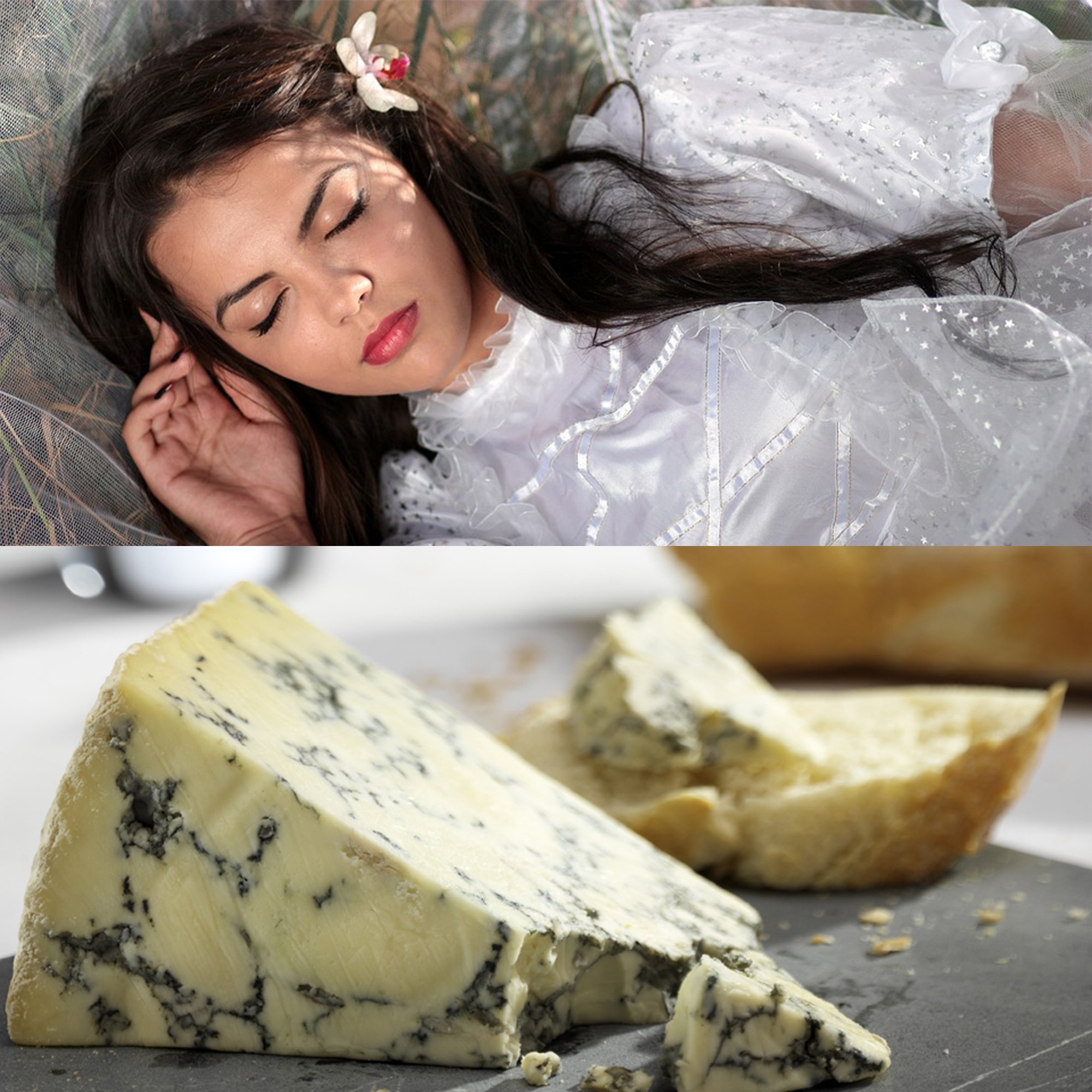 Stilton: El formatge dels bons somnis