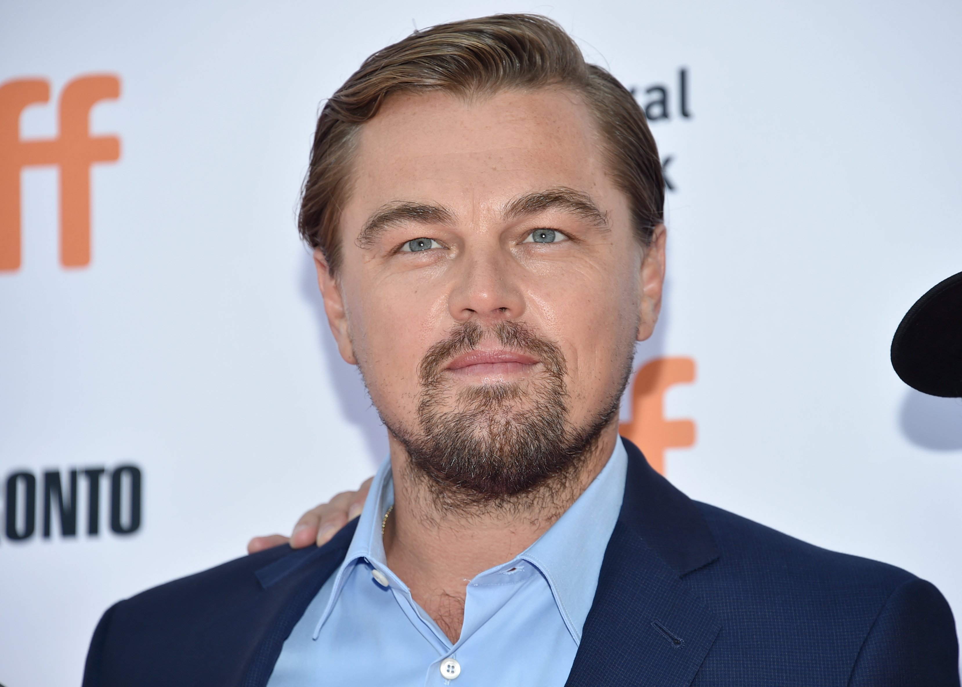 Leonardo DiCaprio no quiso hacer de Kate Winslet en Titanic y salvó a estos perros del agua helada