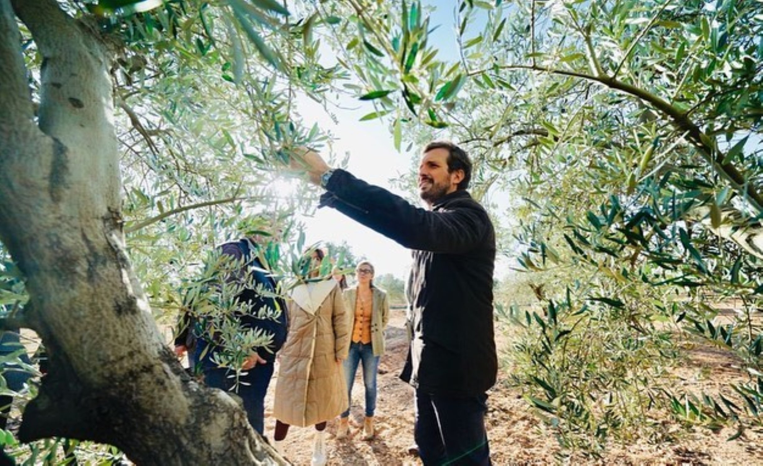 Casado torna a vomitar catalanofòbia i rep. La xarxa el destrossa: "Deja de mentir"