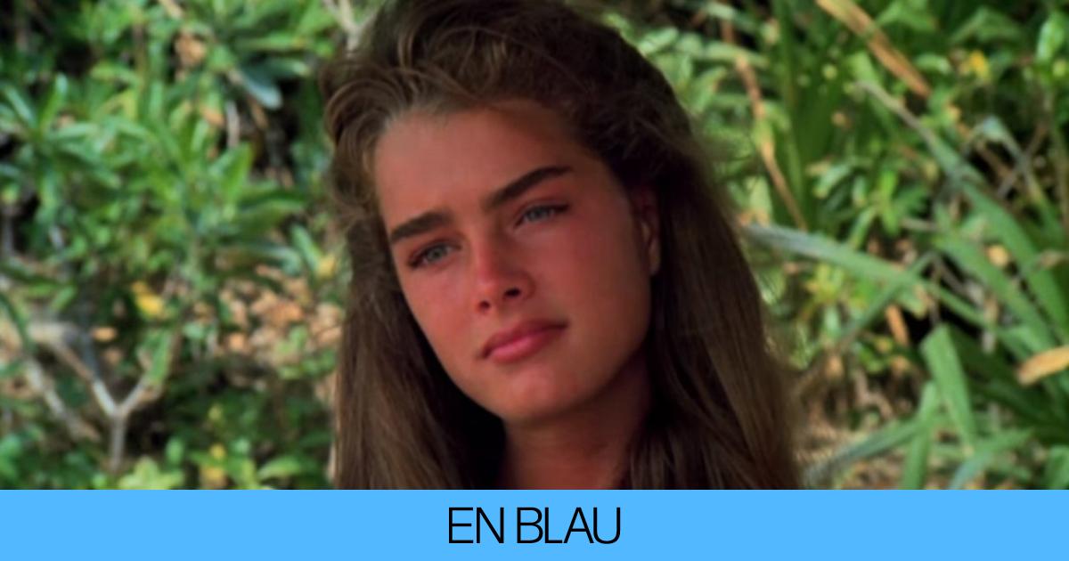 Brooke Shields muy cambiada: la actriz lo enseña todo a sus espléndidos