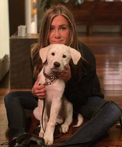 El truc de bellesa de Jennifer Aniston que farà del teu cabell un monument