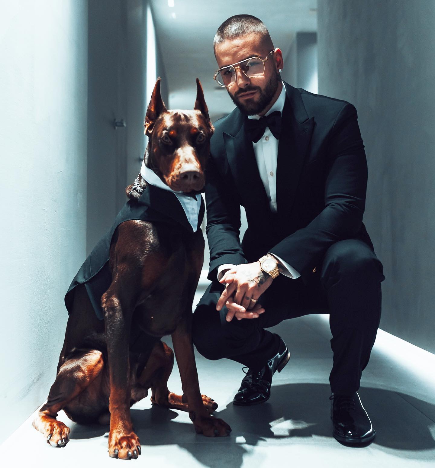 Maluma atacado por su dóberman: recibe un brutal mordisco en la cara, queda así