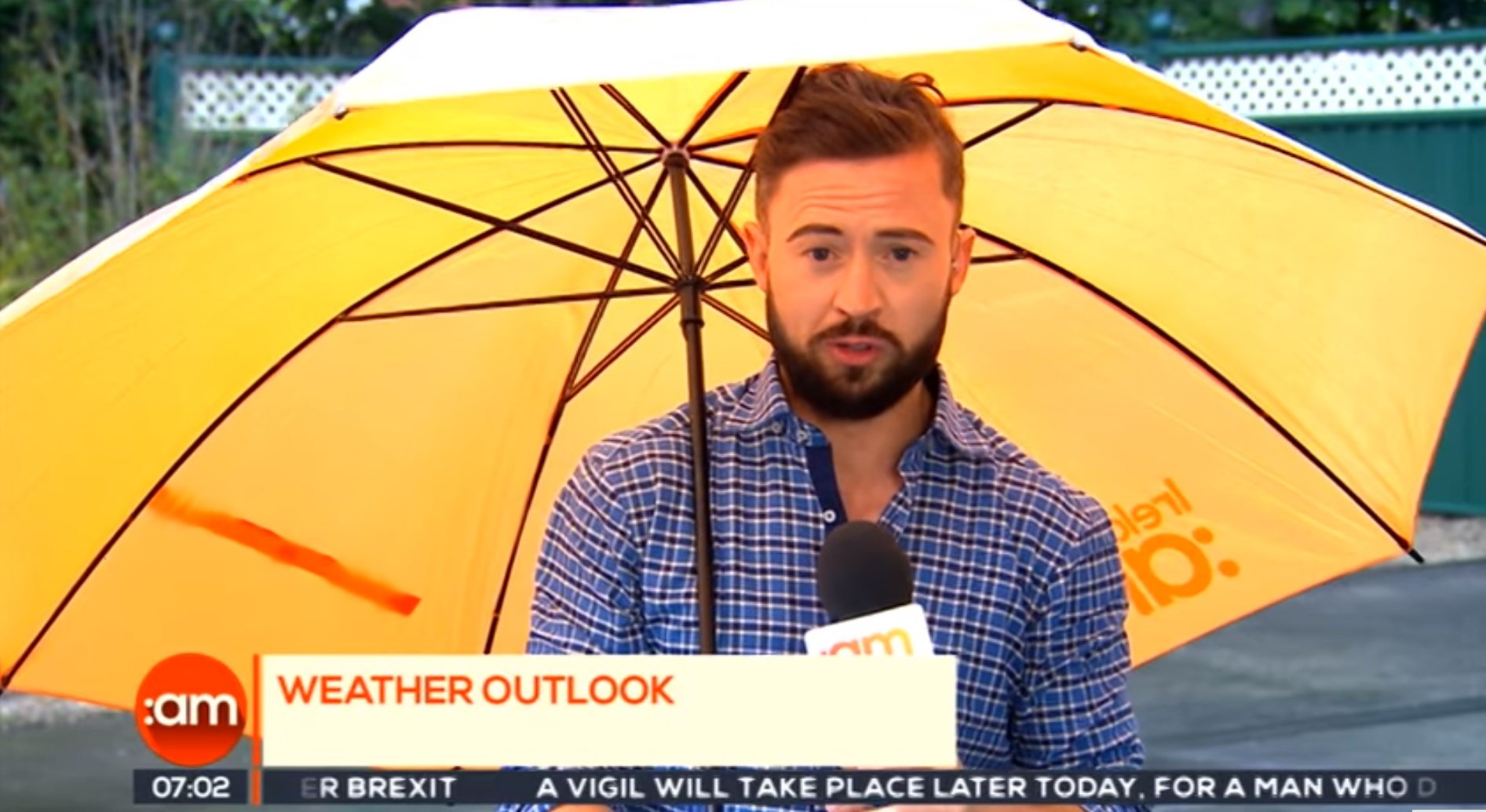 Who what where when why how упражнения. What when where why who. It will take place. It will take place. It will take place.