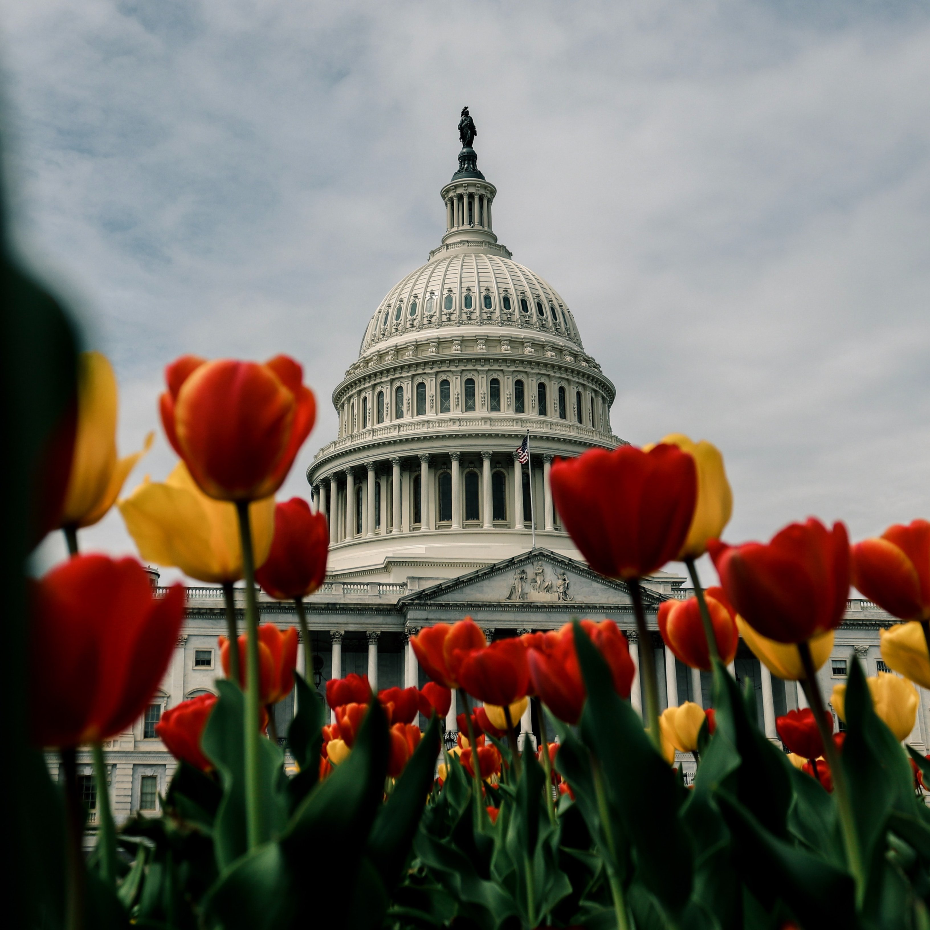 Washington DC: una destinació amb molt a veure si vas a Nova York