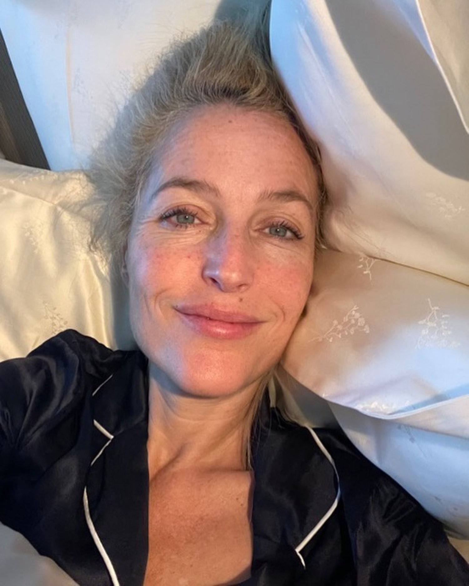 Explícita foto de la actriz Gillian Anderson. La forma no engaña: la red alborotada