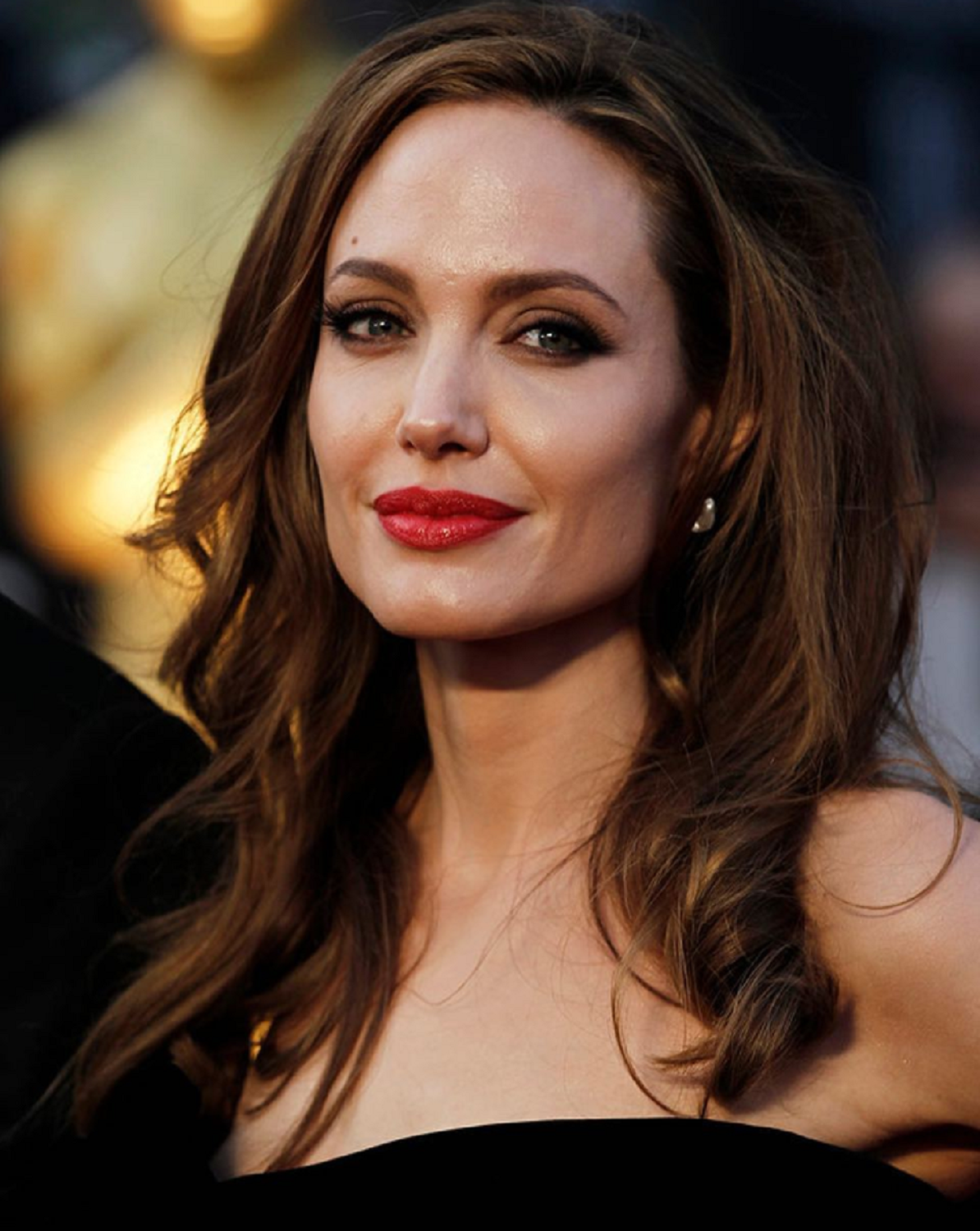 Angelina Jolie ja ha presentat el seu nou nòvio als fills