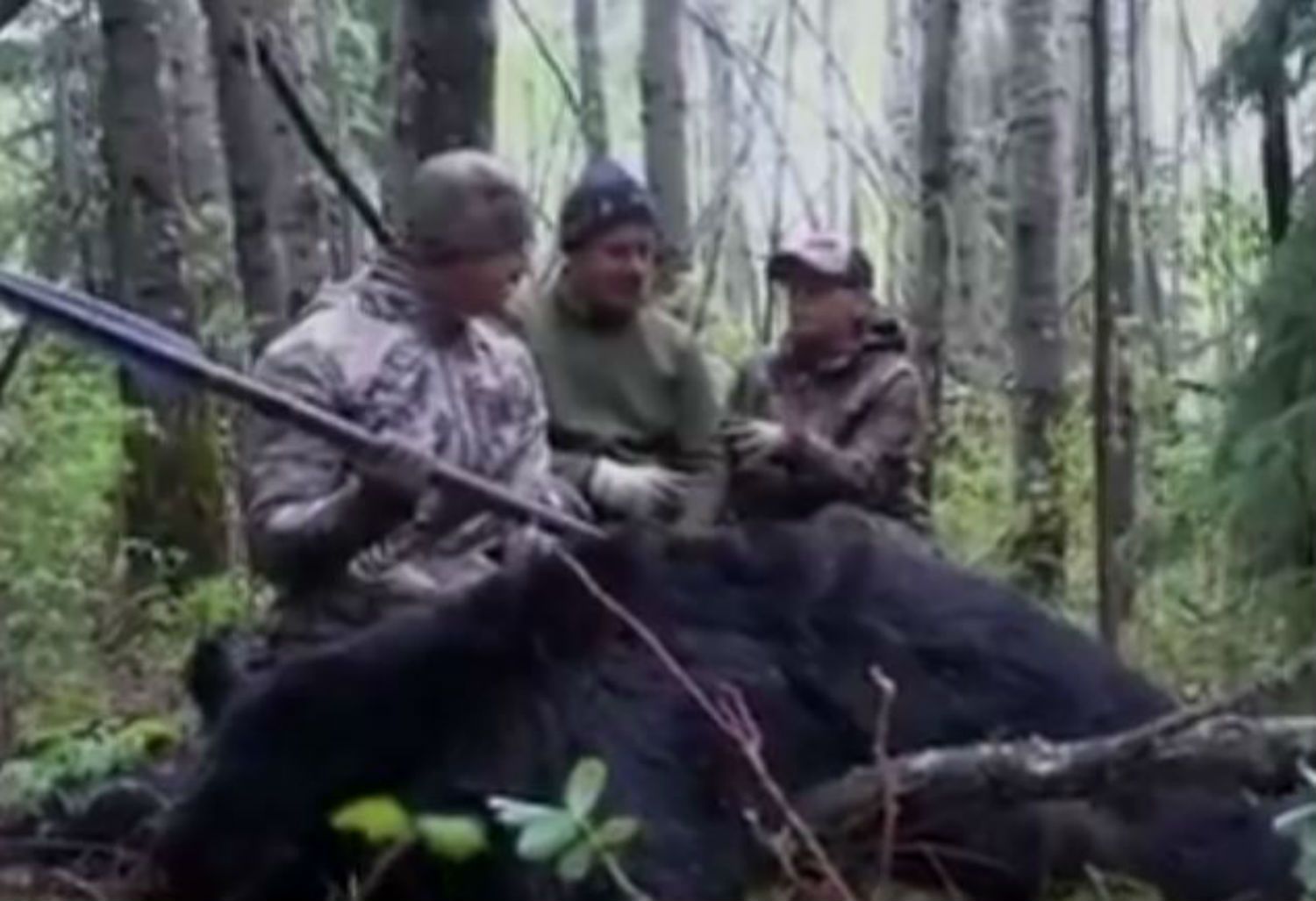 Un hombre se graba matando a un oso con una lanza