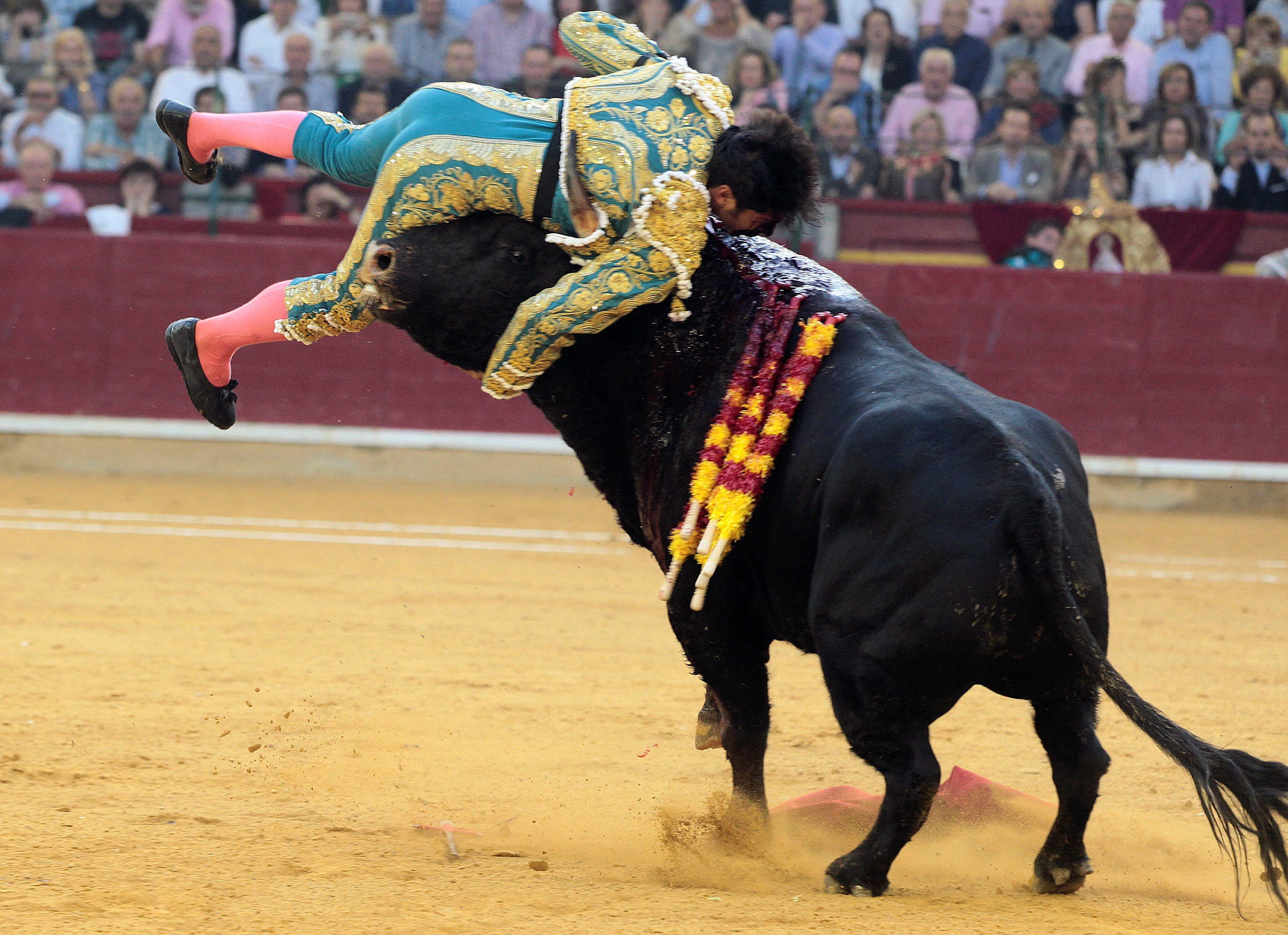 El torero Cayetano Rivera rep una brutal cornada a Saragossa