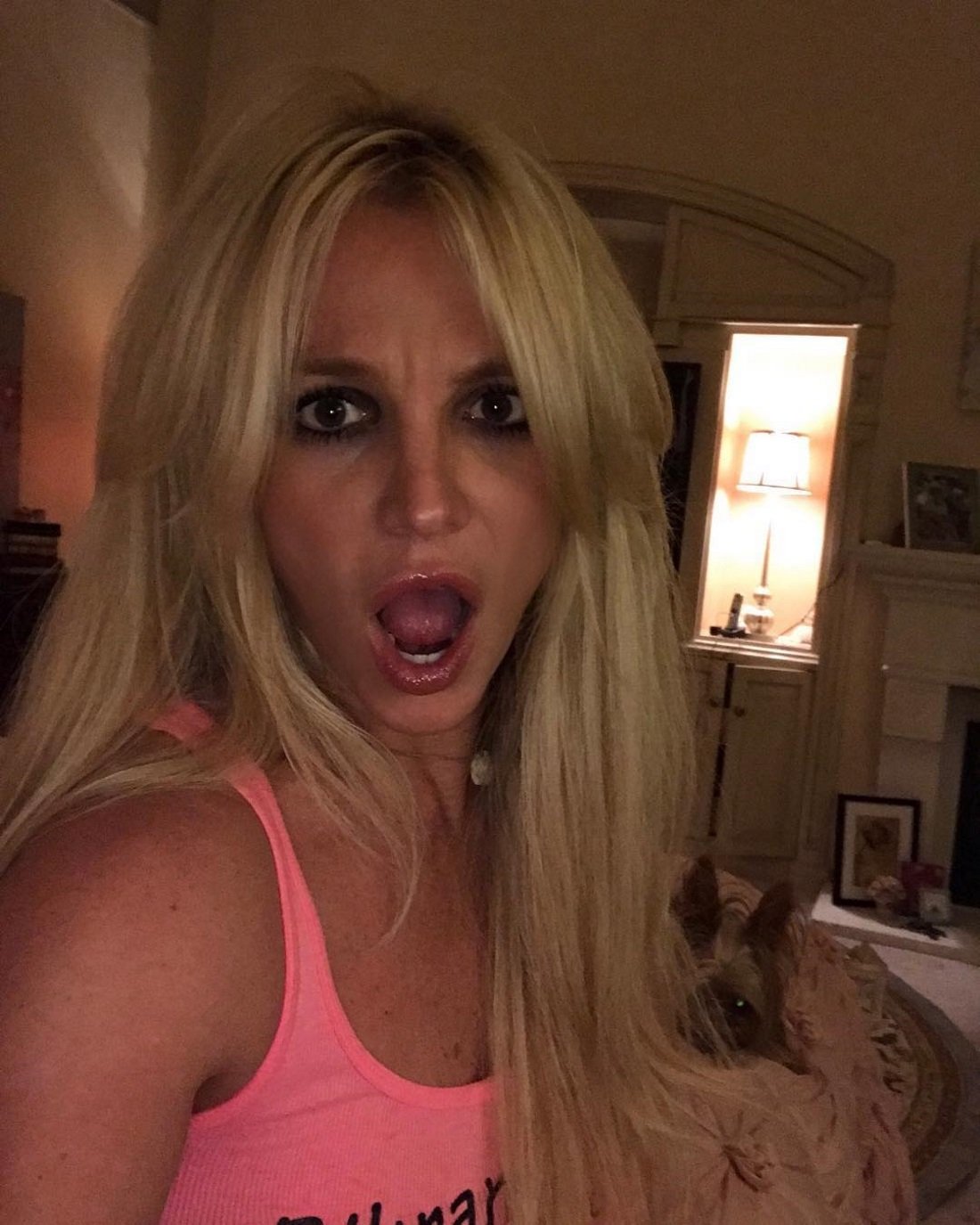 Britney Spears muestra un pezón en plena actuación