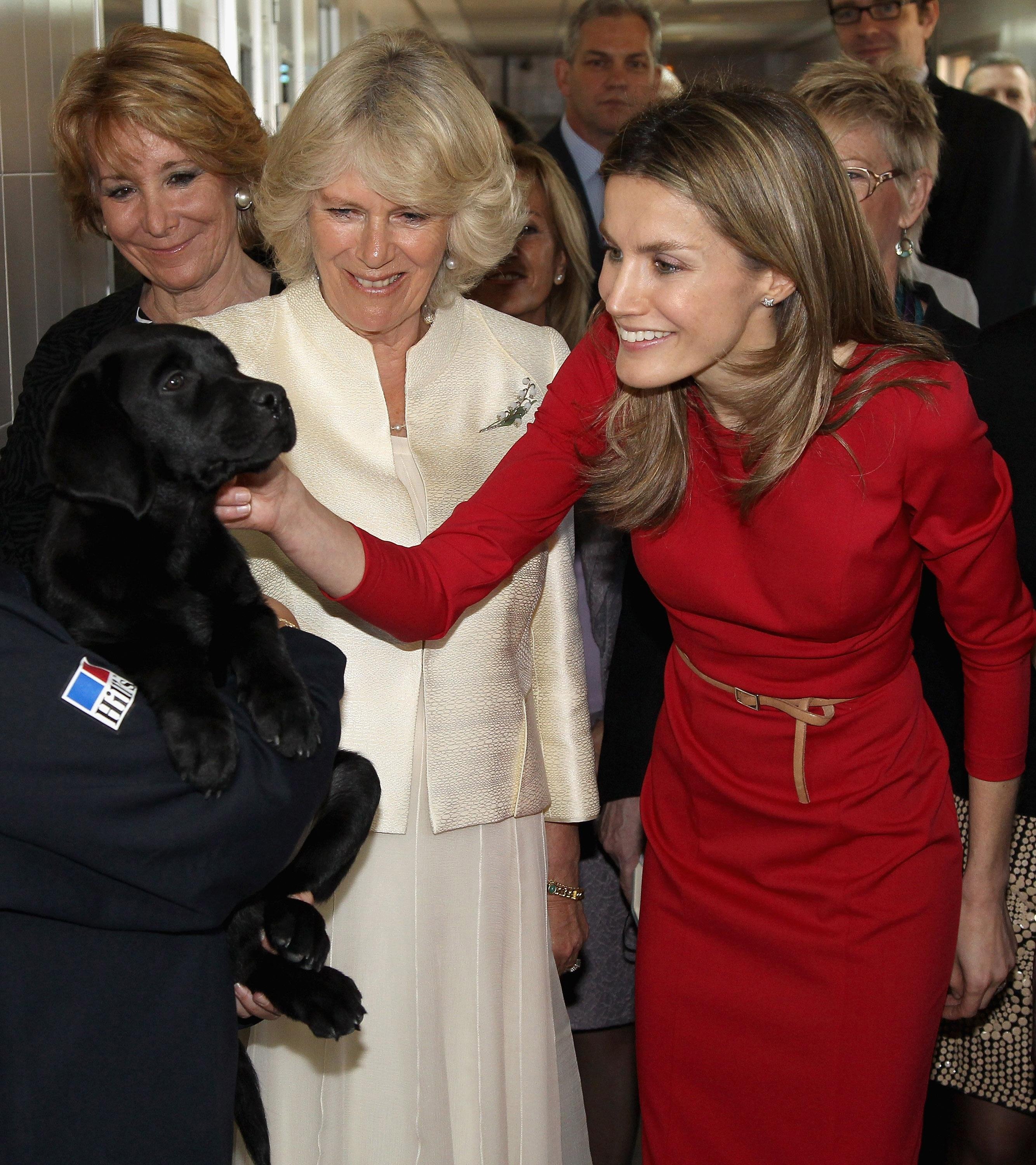 Letícia caçant animals ensorra la imatge de la monarquia