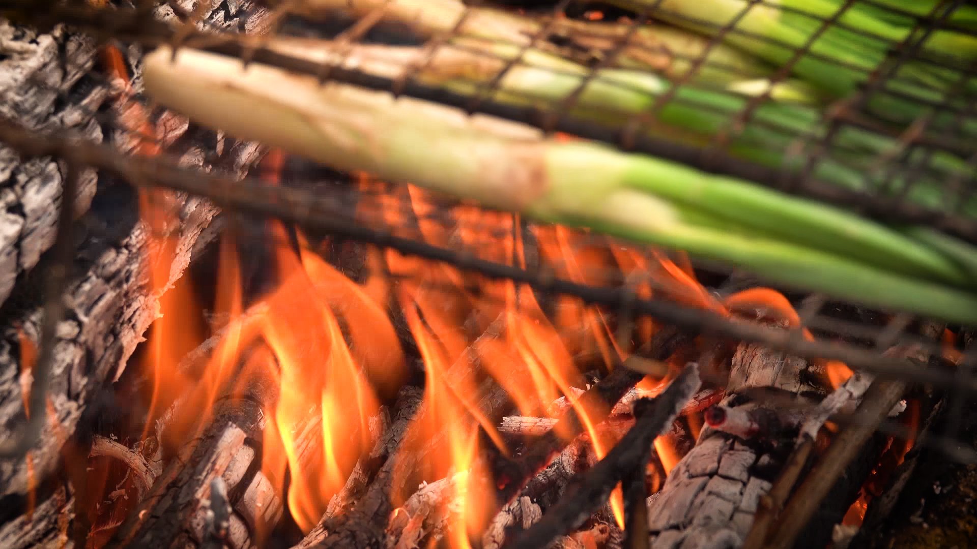 Consells bàsics per fer calçots a la llenya