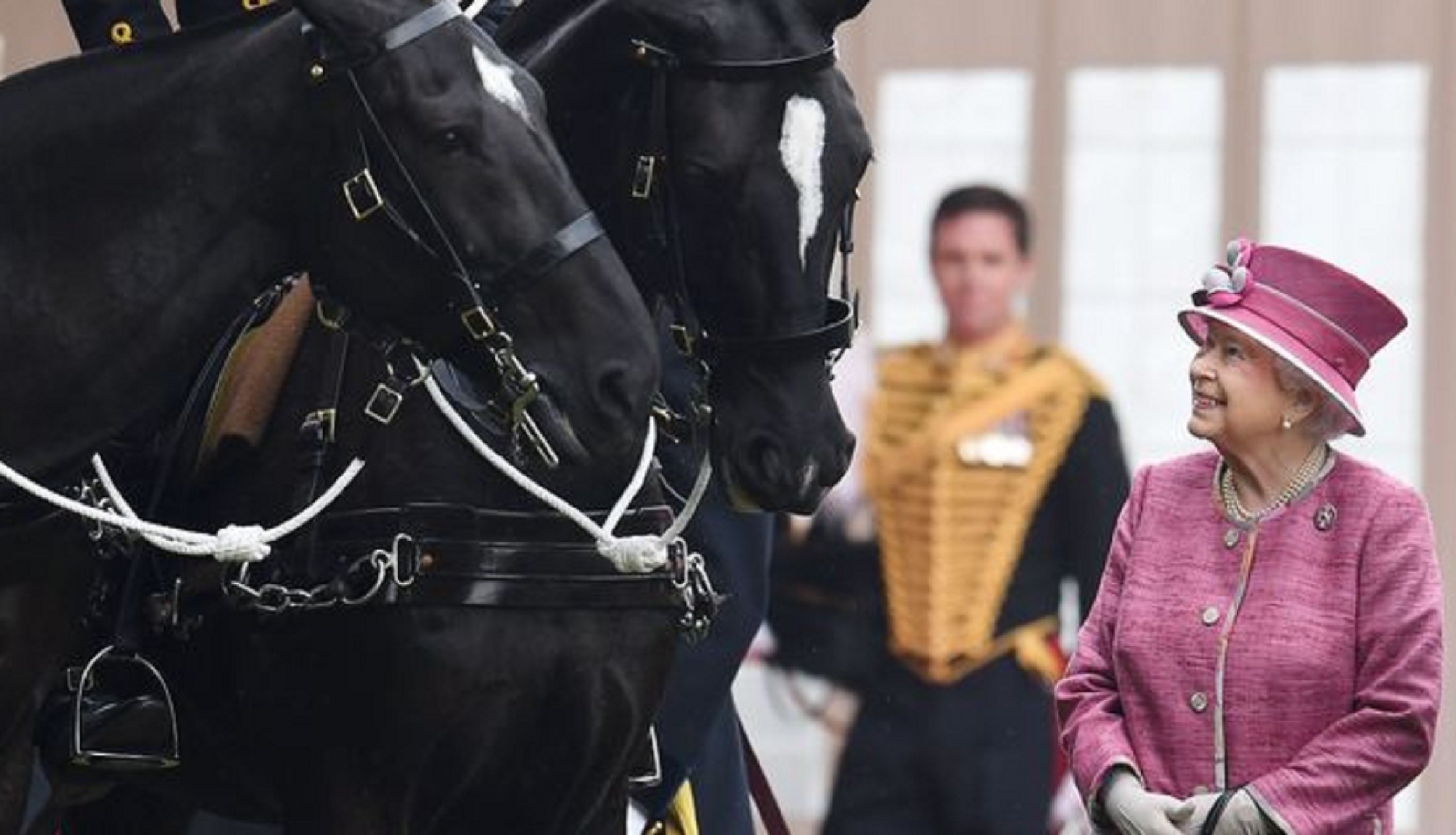 Carles III traeix Elisabet II i ven 14 cavalls a un anònim per una suma ingent de diners