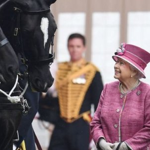 Isabel II idolatraba a los animales, especialmente a los caballos   EFE